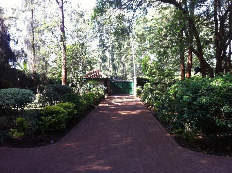 Albergue Milimani Backpackers Nairobi Exterior foto