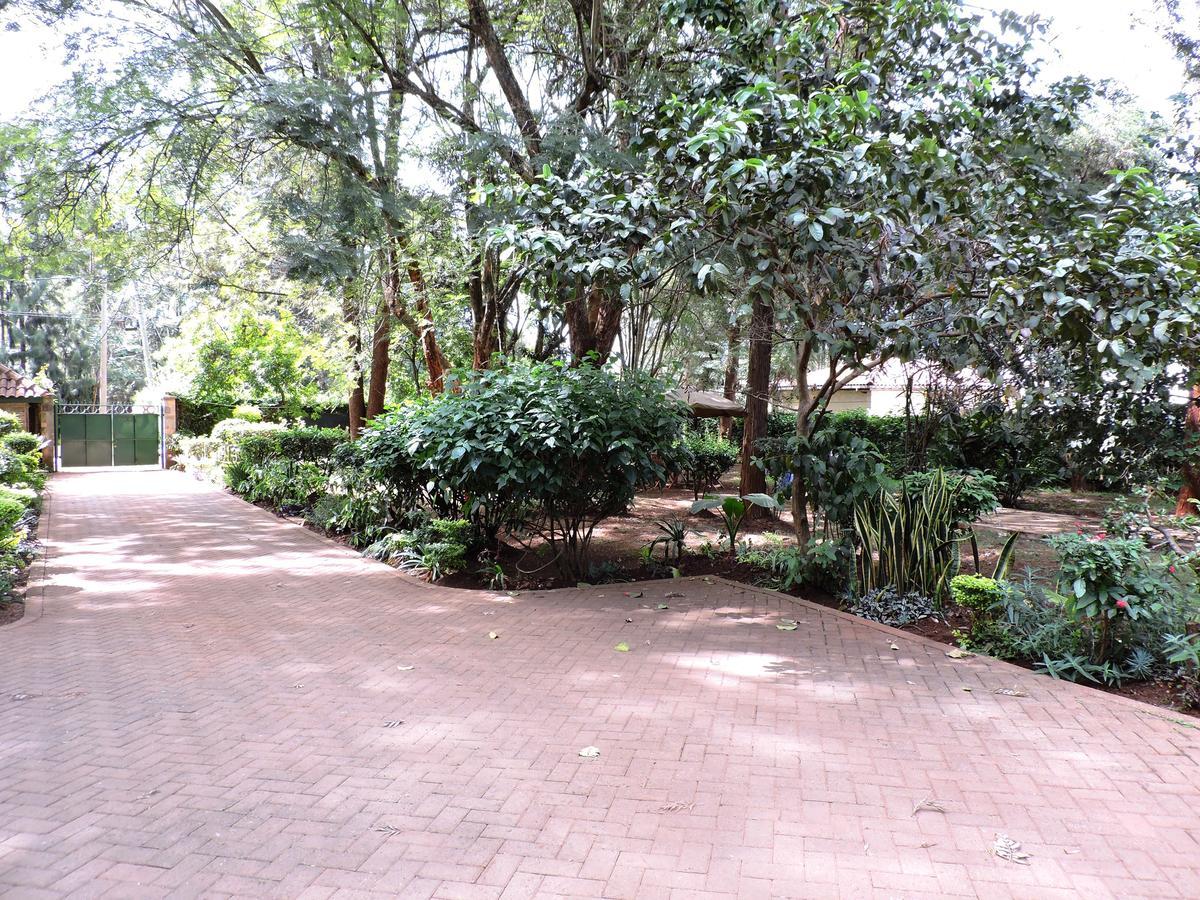 Albergue Milimani Backpackers Nairobi Exterior foto