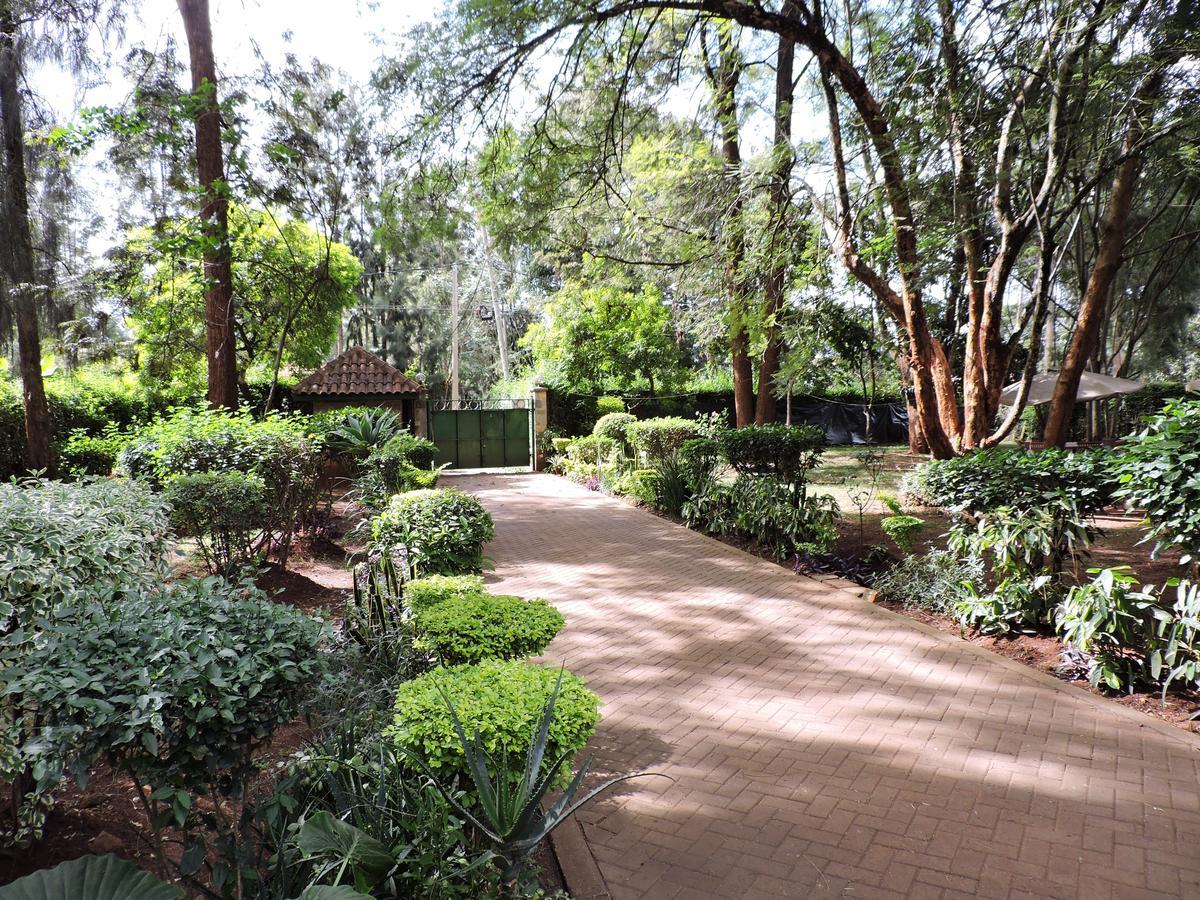Albergue Milimani Backpackers Nairobi Exterior foto