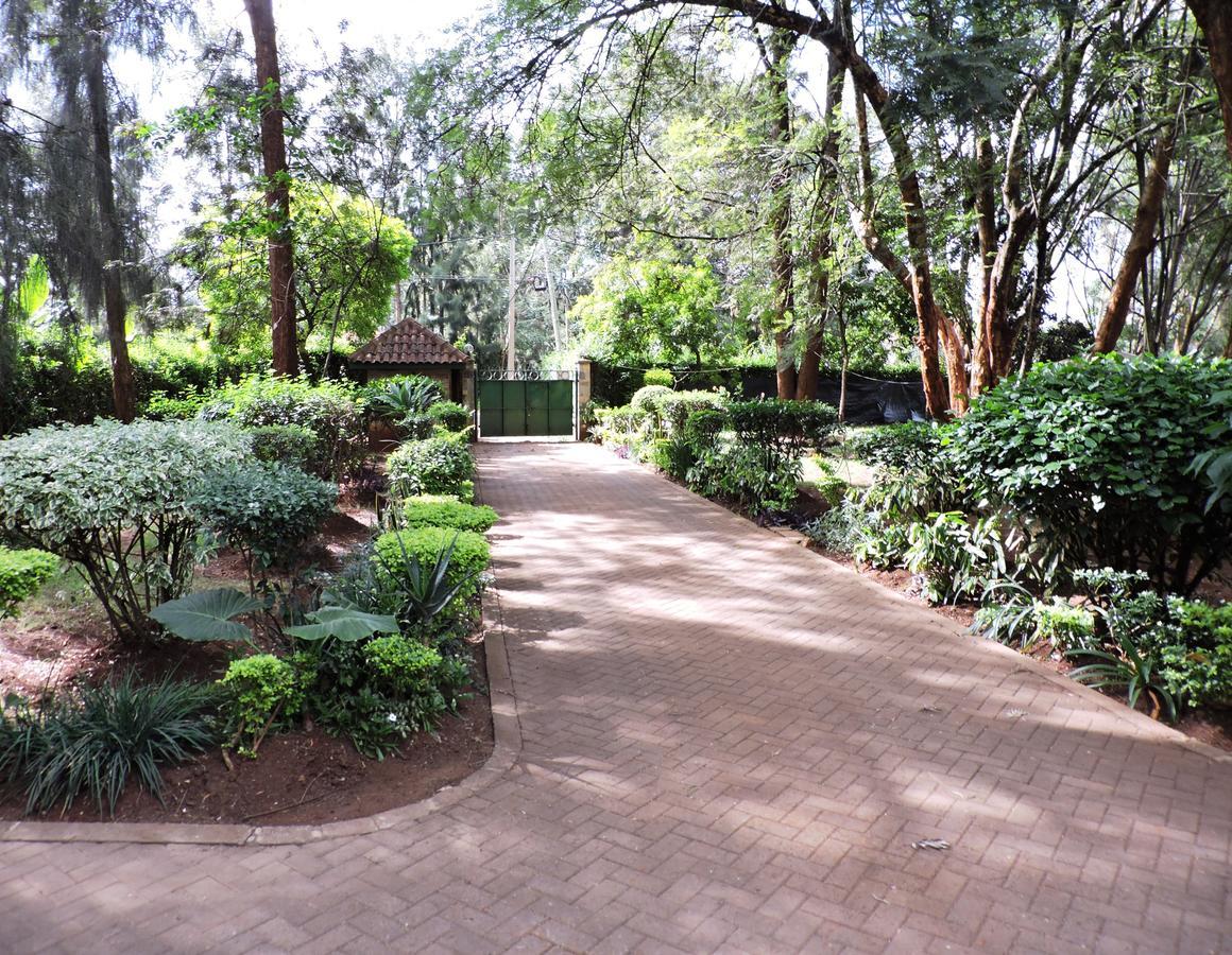 Albergue Milimani Backpackers Nairobi Exterior foto