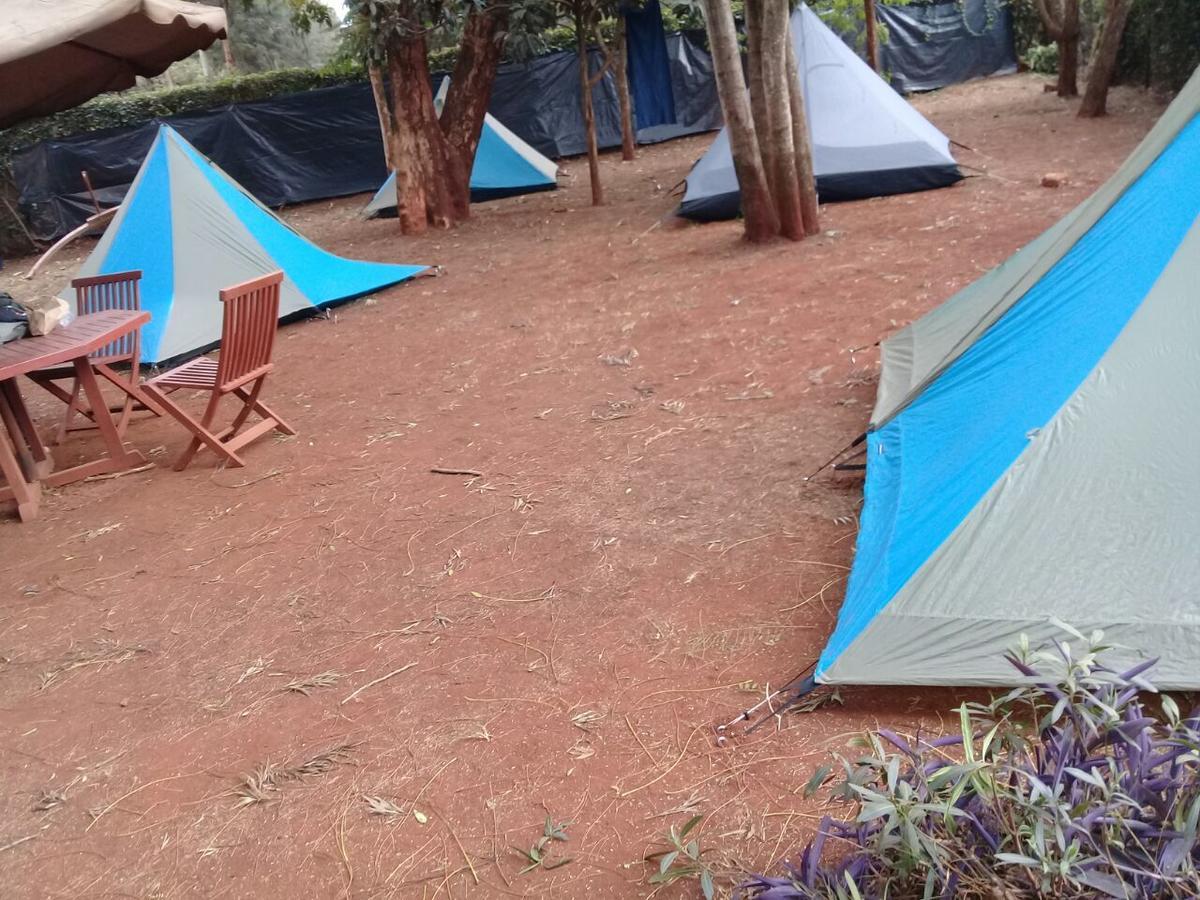 Albergue Milimani Backpackers Nairobi Exterior foto
